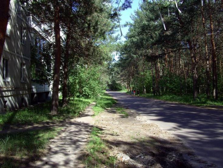 Проліски з panoramio.com - Prolisky