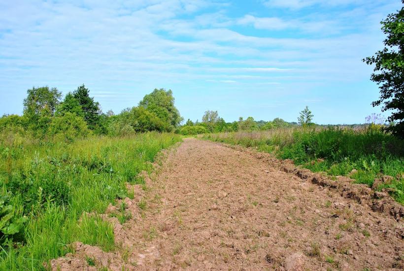 Адамчуки з panoramio.com - Адамчуки