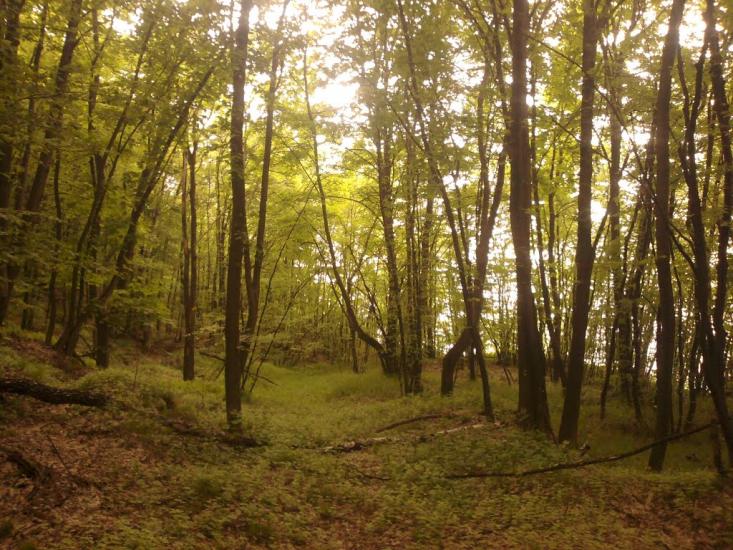 Балико-Щучинка з panoramio.com - Балыко-Щучинка