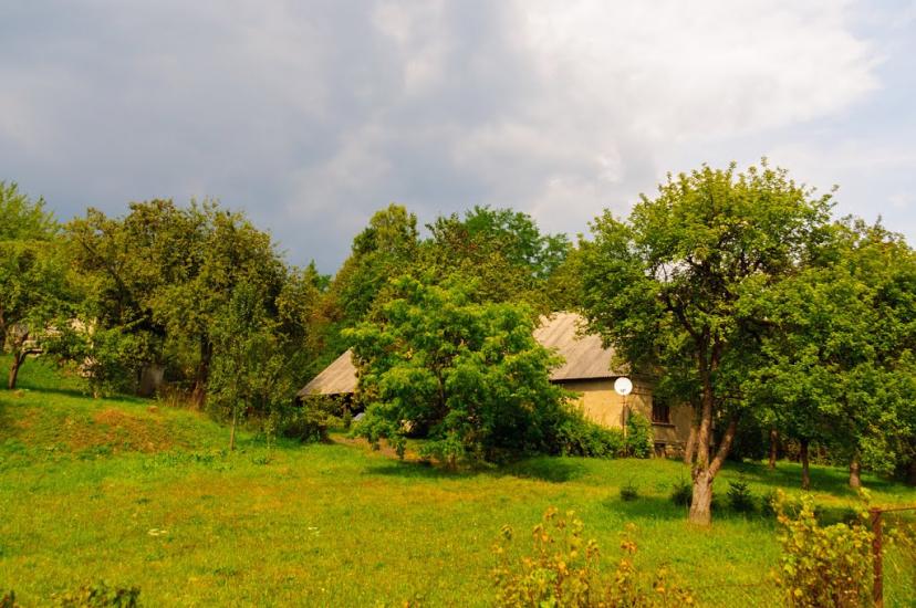 Люта з panoramio.com - Люта