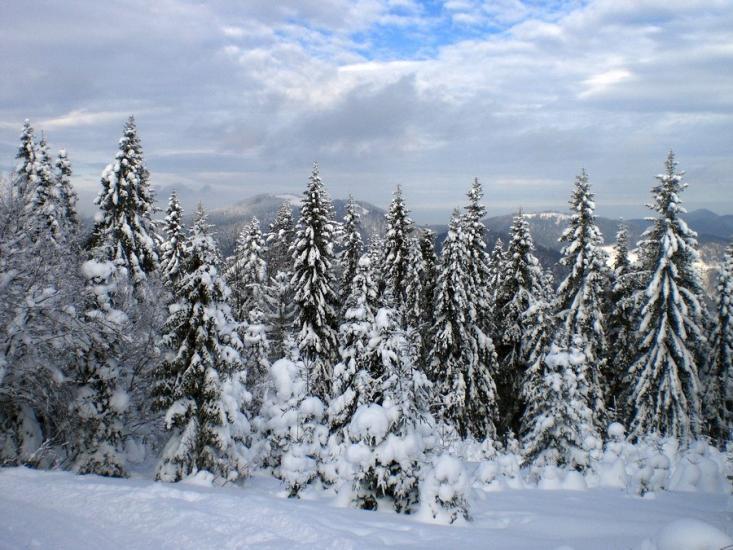Сухий Потік з panoramio.com - Sukhyy Potik
