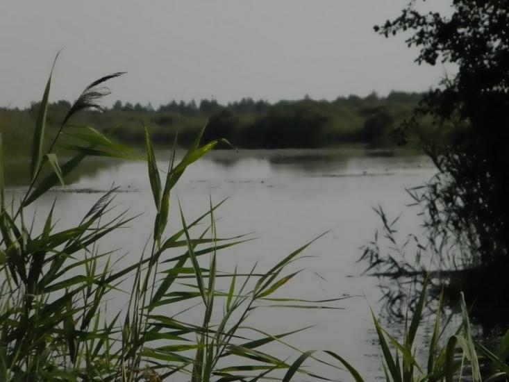 Угриничі з panoramio.com - Угриничі