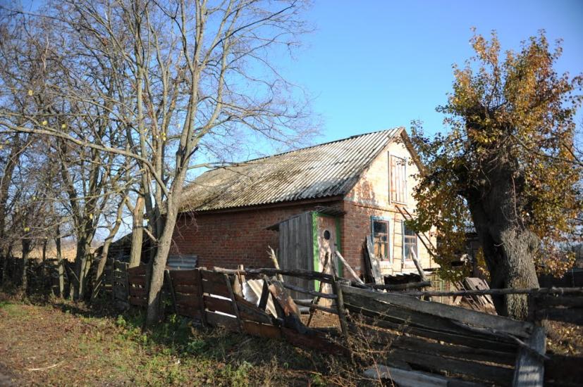 Нова Оржиця з panoramio.com - Новая Оржица