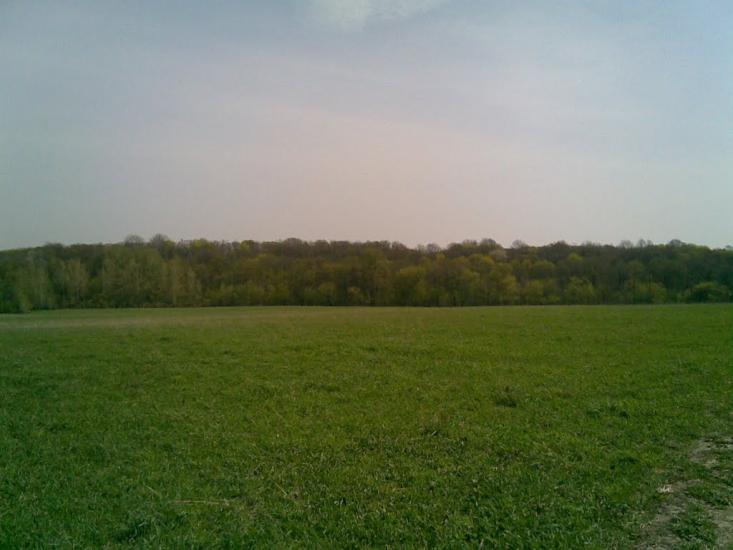 Кошляки з panoramio.com - Кошляки
