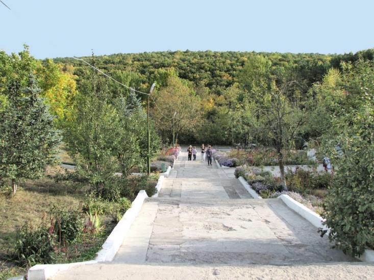 Вербка з panoramio.com - Вербка