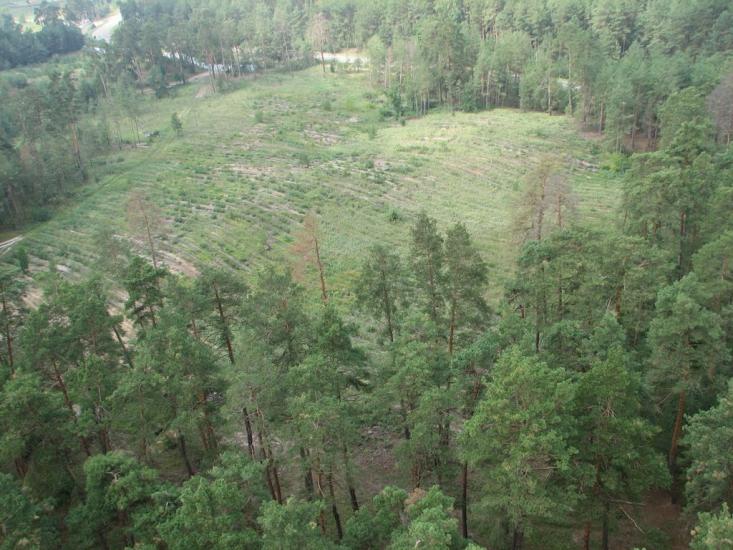 Глібівка з panoramio.com - Глібівка