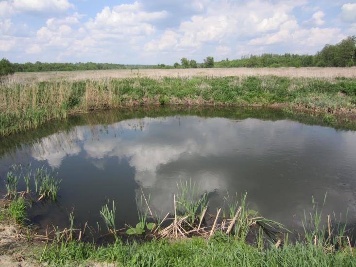 Ротівка з panoramio.com - Ротовка