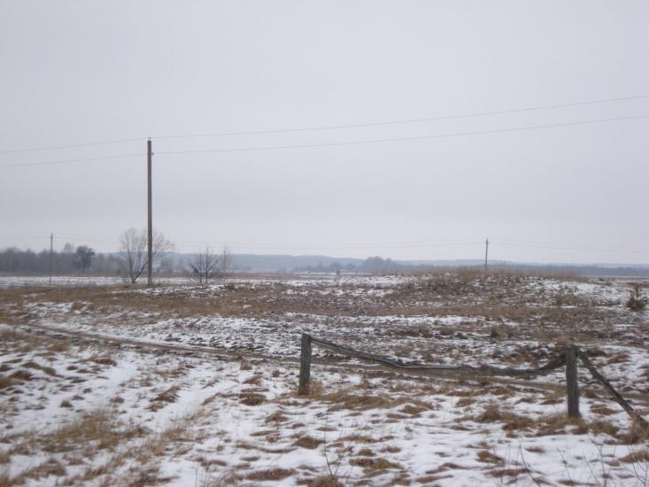 Ниговищі з panoramio.com - Ниговищи