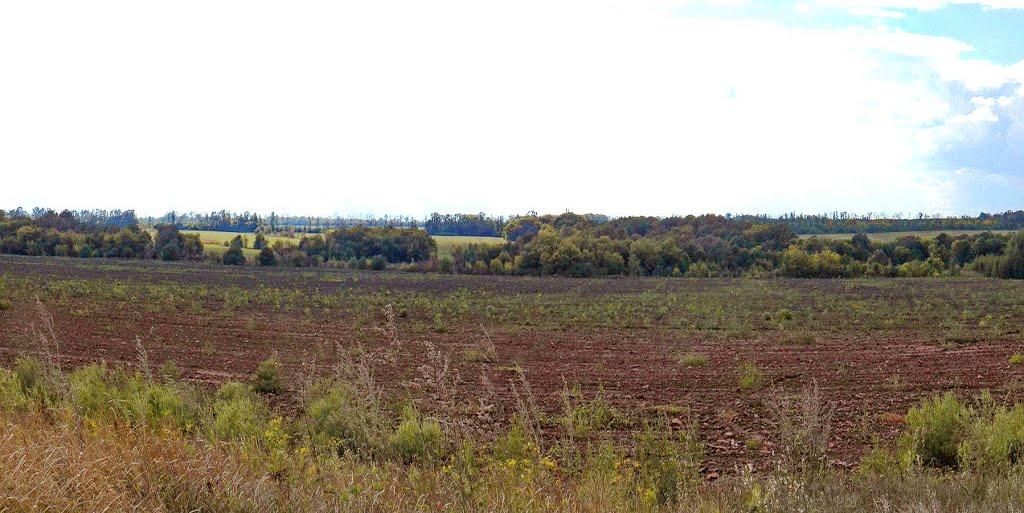 Лозове з panoramio.com - Лозовое