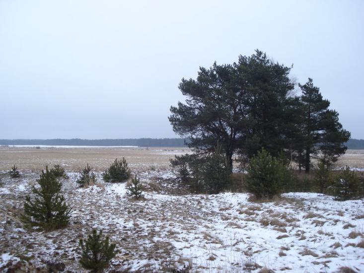 Ниговищі з panoramio.com - Ниговищи