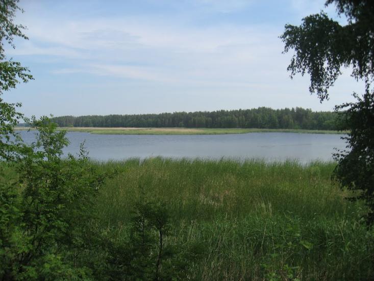 Лошакова Гута з panoramio.com - Лошакова Гута