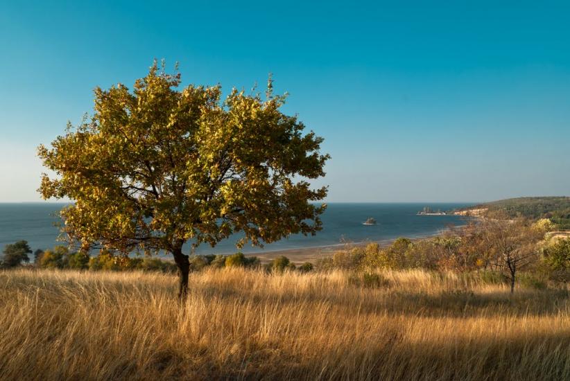 Велика Андрусівка з panoramio.com - Велика Андрусівка