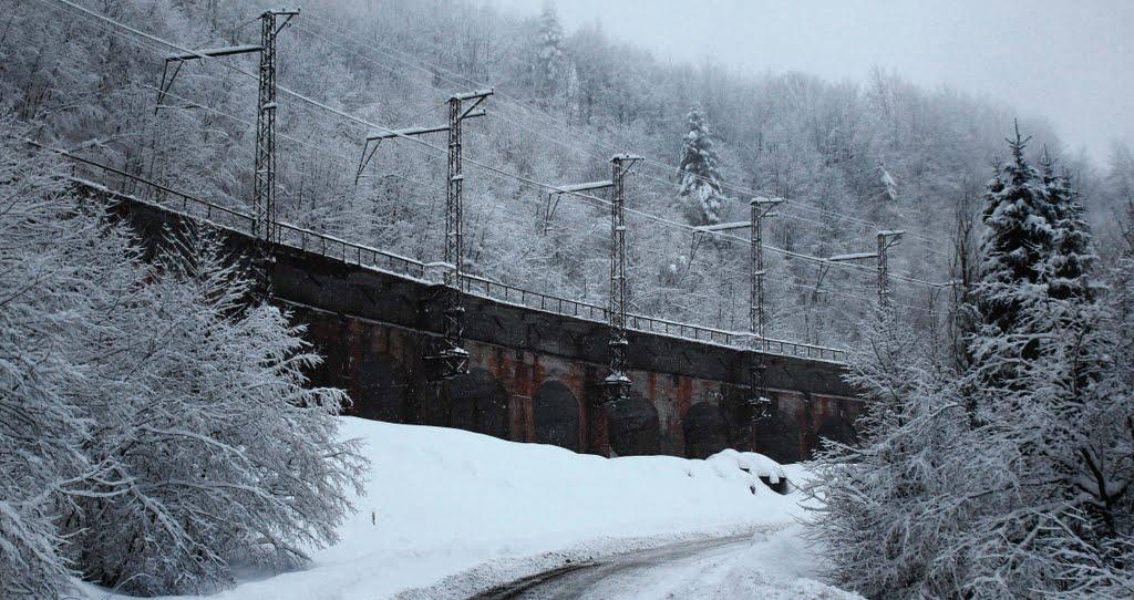 Сянки з panoramio.com - Сянки