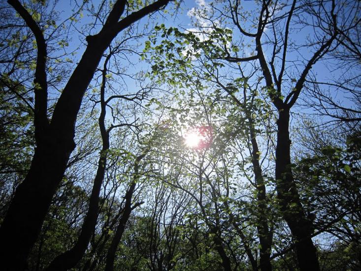 Каютине з panoramio.com - Kayutyne