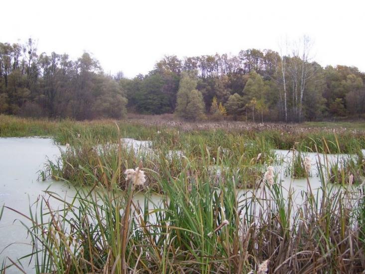 Буди з panoramio.com - Буды