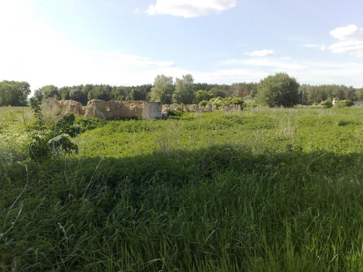 Савин з panoramio.com - Савин