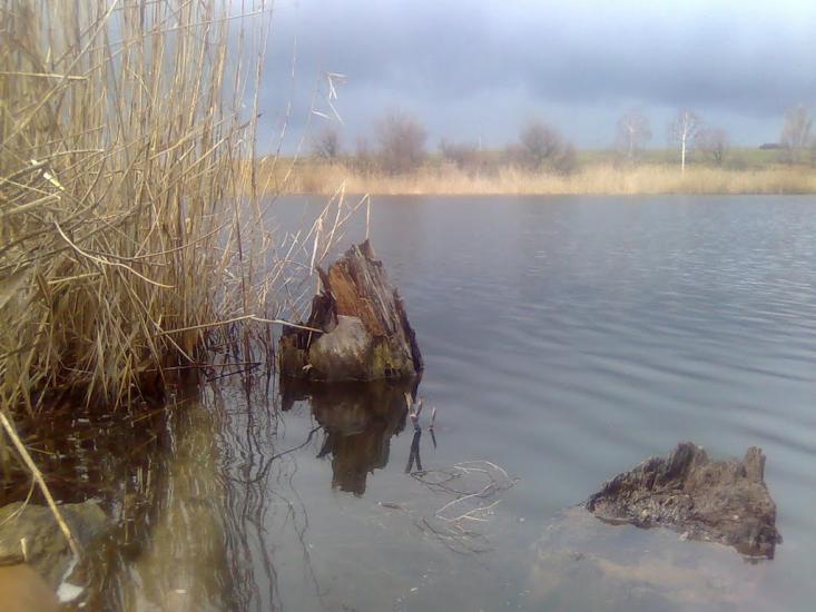 Домаха з panoramio.com - Домаха