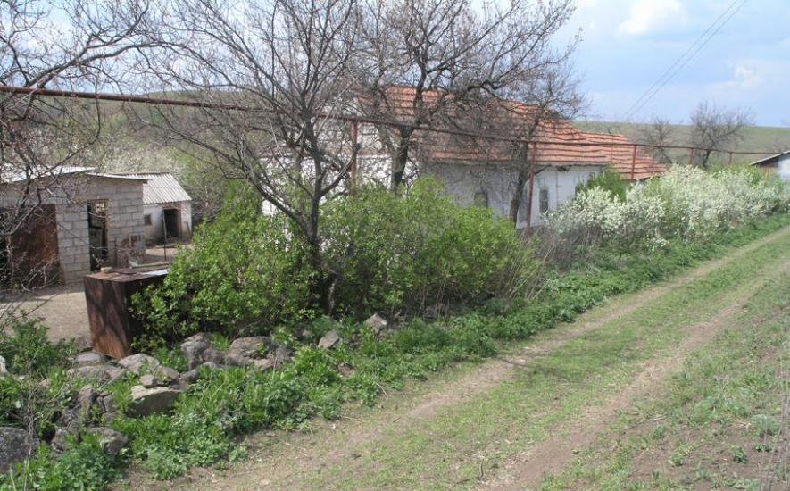 Кременівка з panoramio.com - Кременівка