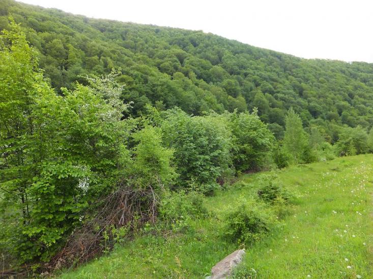 Березово з panoramio.com - Березово