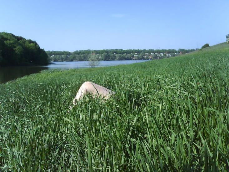 Черняки з panoramio.com - Черняки