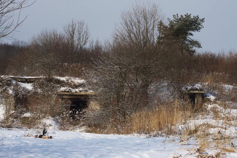 Луки з panoramio.com - Луки