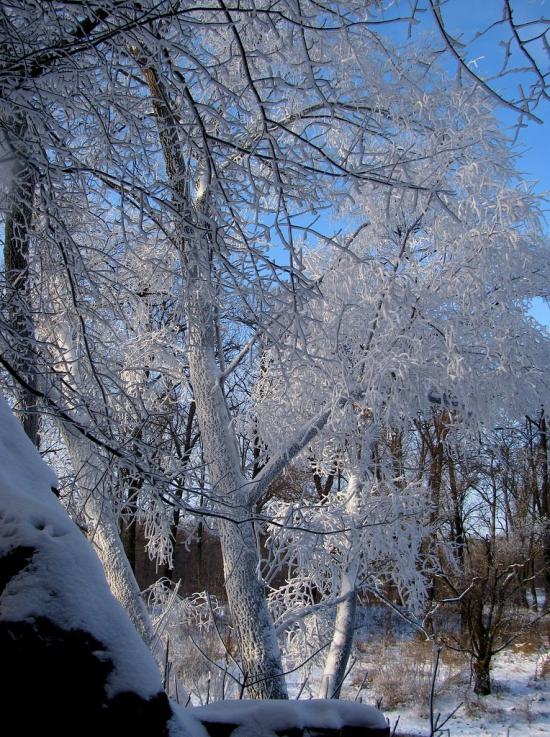 Рижівка з panoramio.com - Ryzhivka