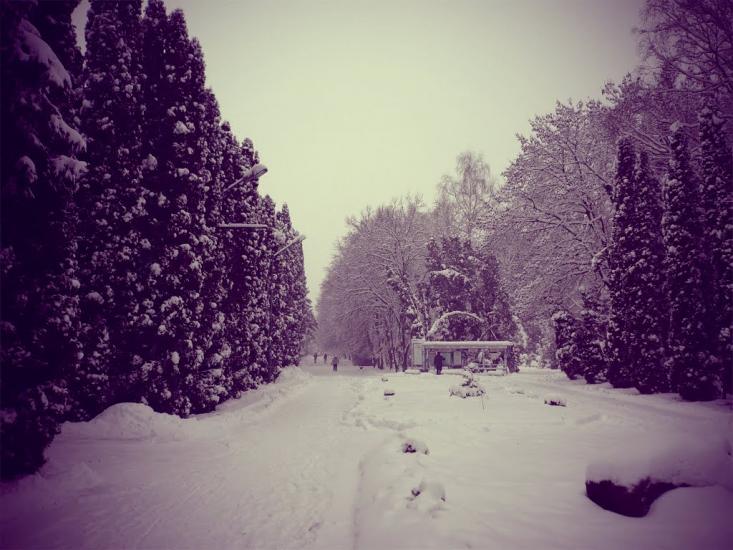 Хмільник з panoramio.com - Хмельник