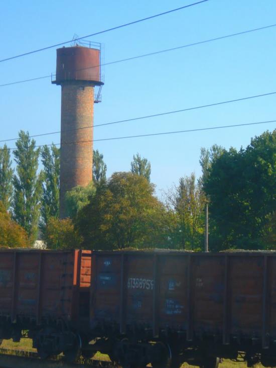 Голоби з panoramio.com - Голоби