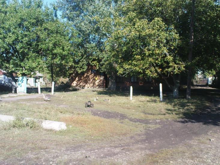 Катеринка з panoramio.com - Катеринка