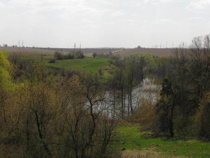 Четвертинівка з panoramio.com - Четвертинівка
