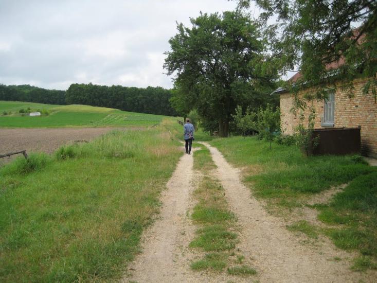 Старосілля з panoramio.com - Starosillya