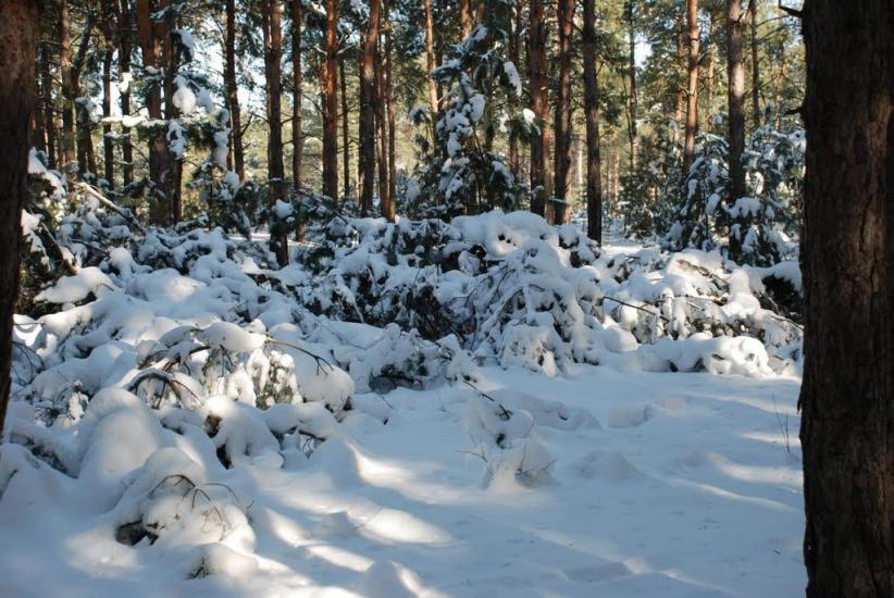 Баловне з panoramio.com - Баловное