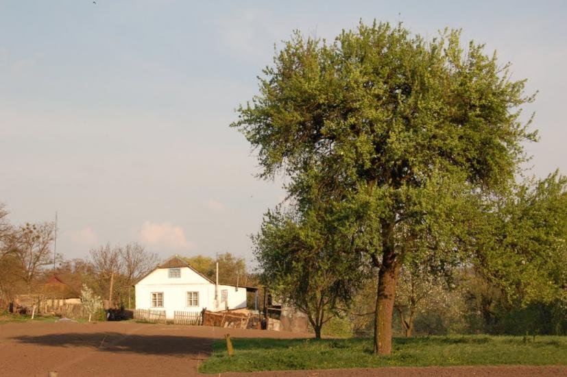 Красна Слобідка з panoramio.com - Красна Слобідка