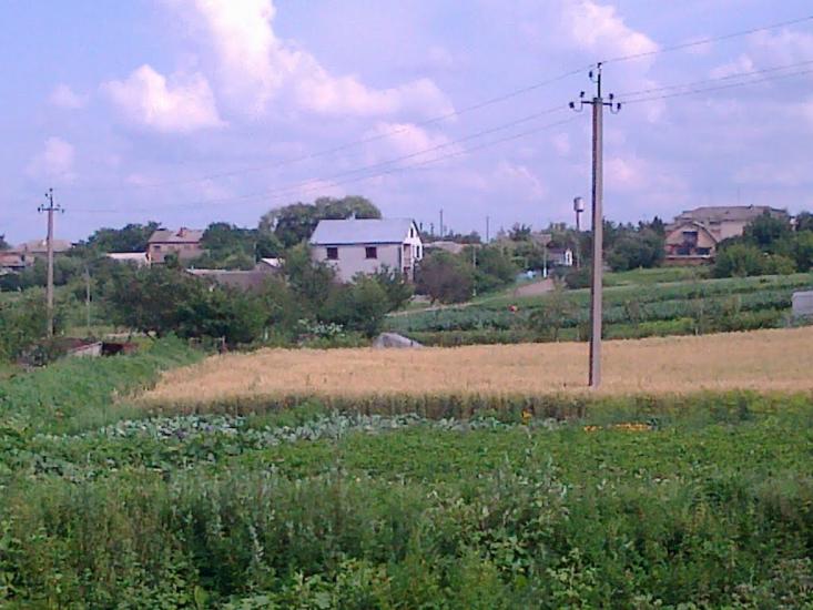 Сатиїв з panoramio.com - Сатыев