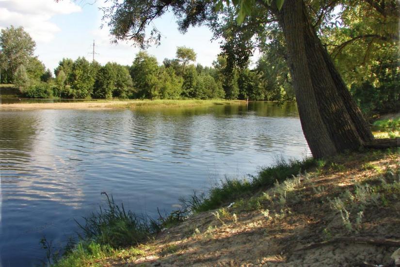 Курган з panoramio.com - Курган