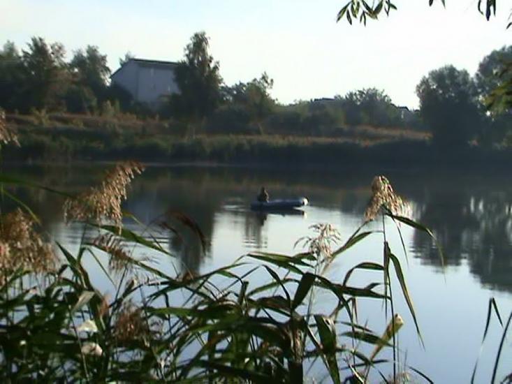 Войкове з panoramio.com - Войково