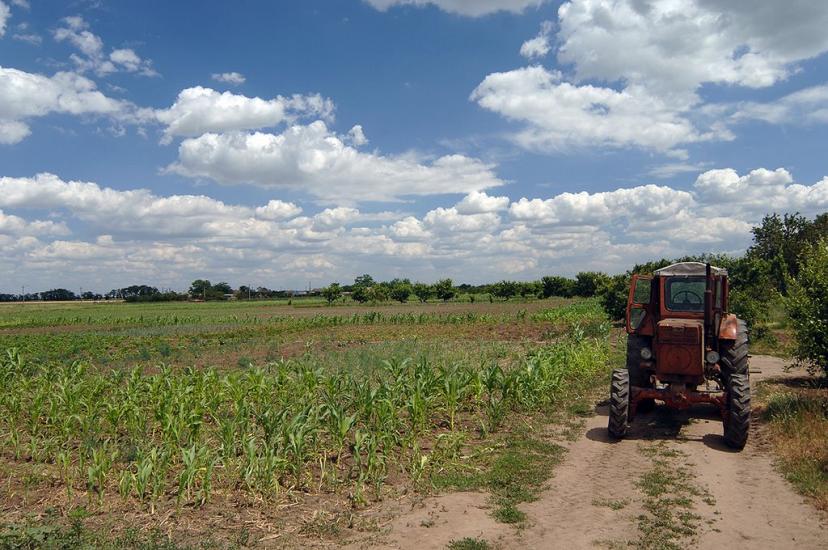 Шелюги з panoramio.com - Шелюги