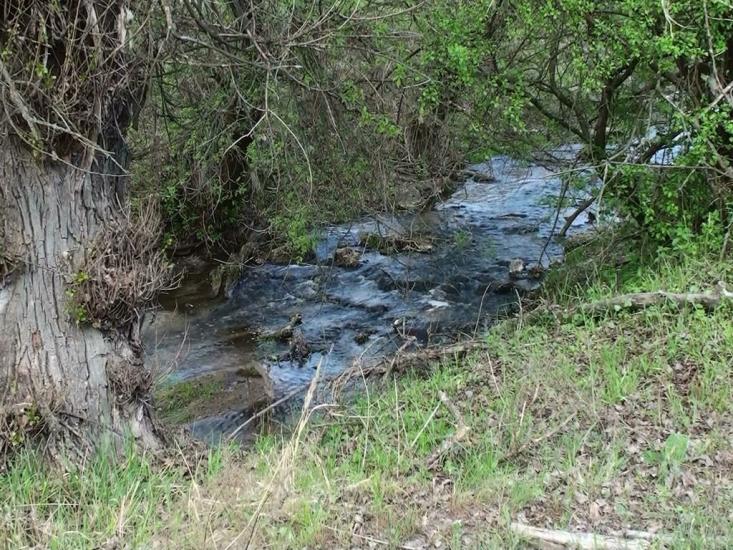 Пурдівка з panoramio.com - Пурдівка