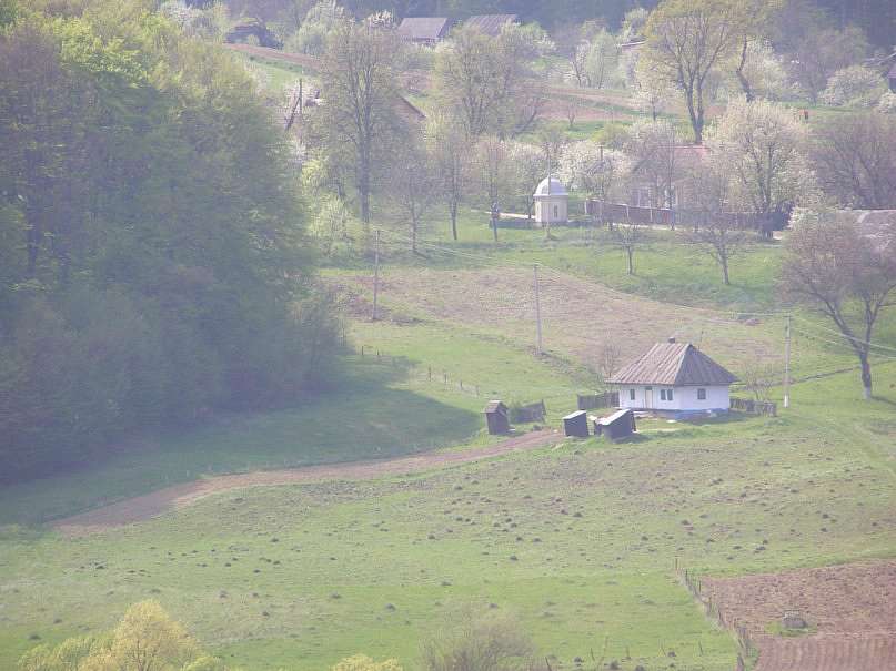Червона Діброва - Червона Діброва