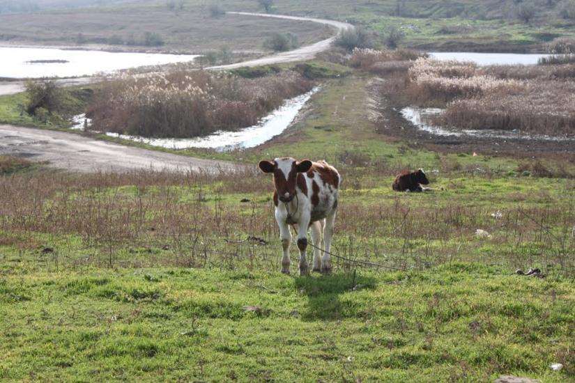 Свердлове з panoramio.com - Свердлово