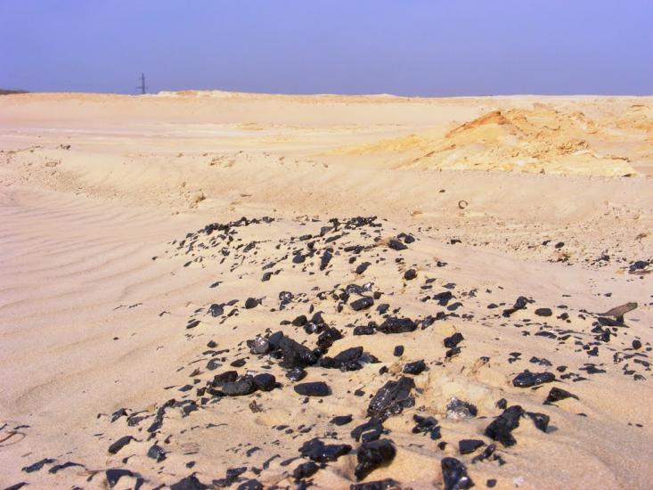 Кардашинка з panoramio.com - Кардашинка