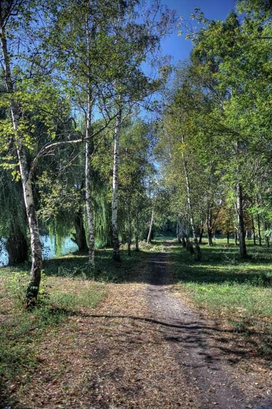 Онуфріївка з panoramio.com - Онуфріївка