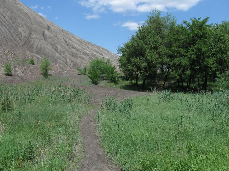 Дзержинськ з panoramio.com - Dzerzhynsk