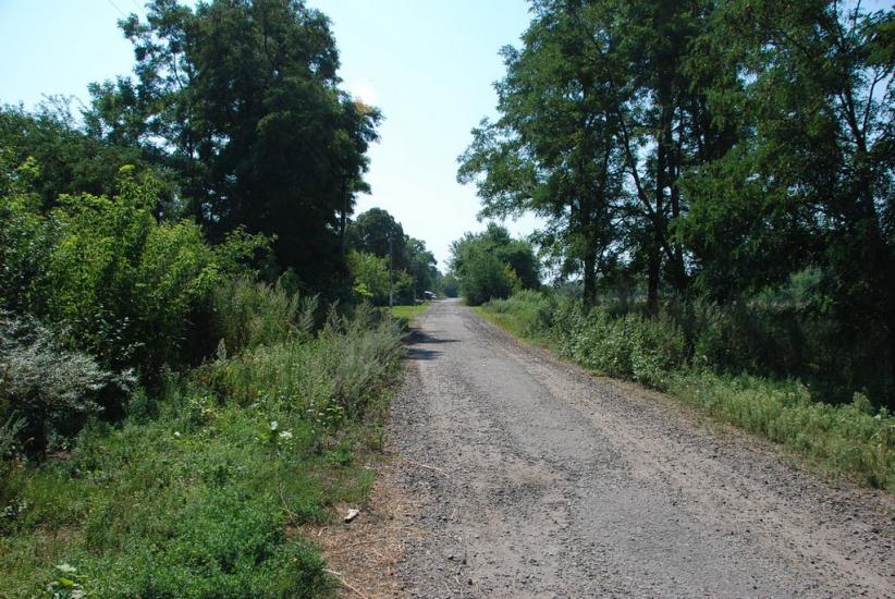 Нова Оржиця з panoramio.com - Новая Оржица