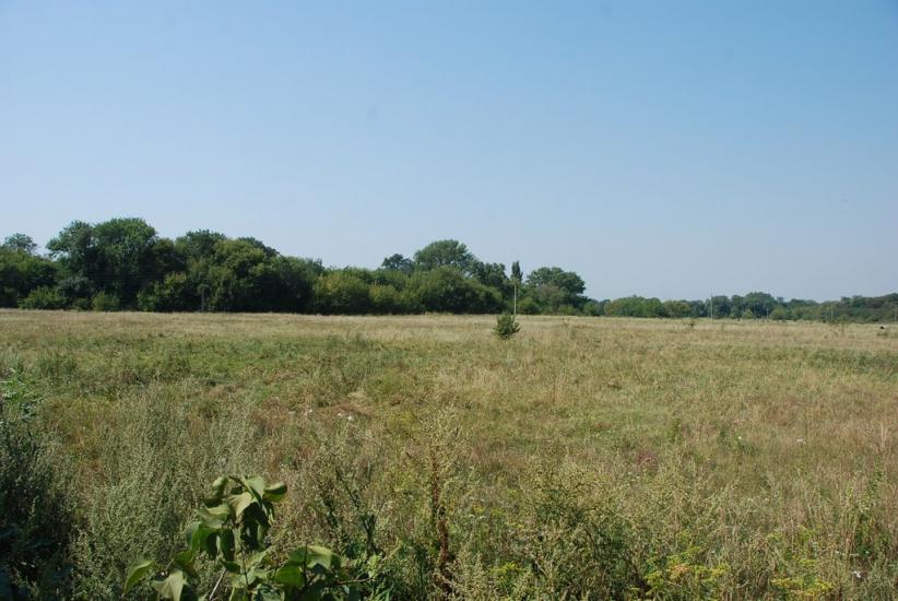 Нова Оржиця з panoramio.com - Новая Оржица