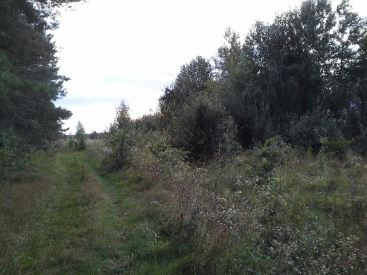 Скригалівка з panoramio.com - Скригалівка