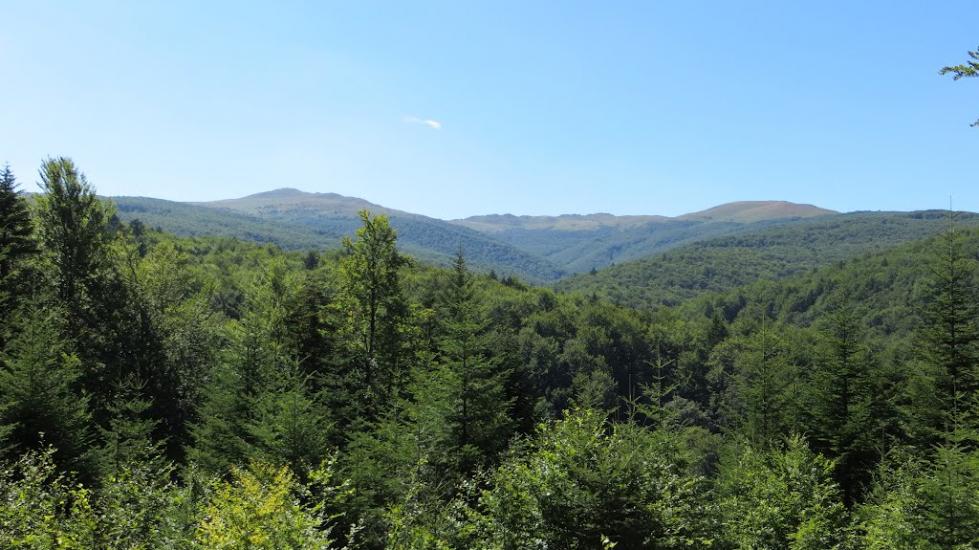 Шандровець з panoramio.com - Шандровец