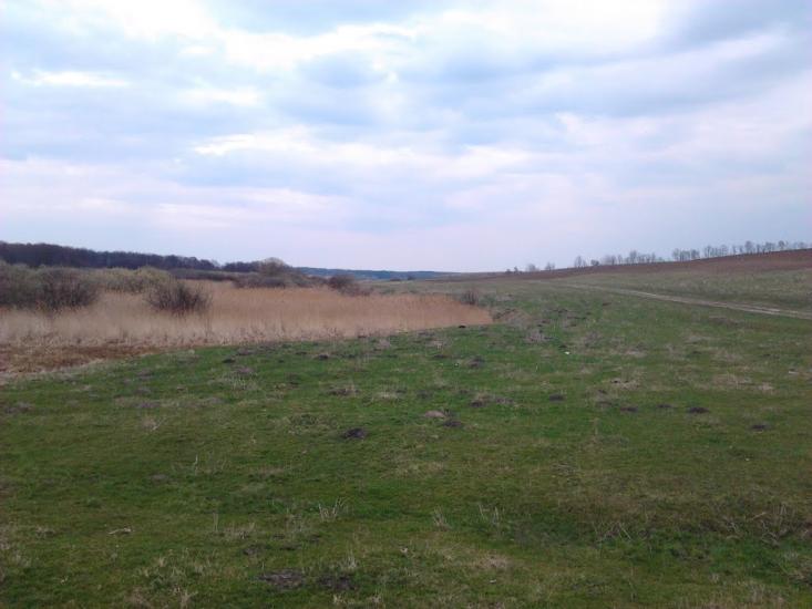 Рогачі з panoramio.com - Рогачи