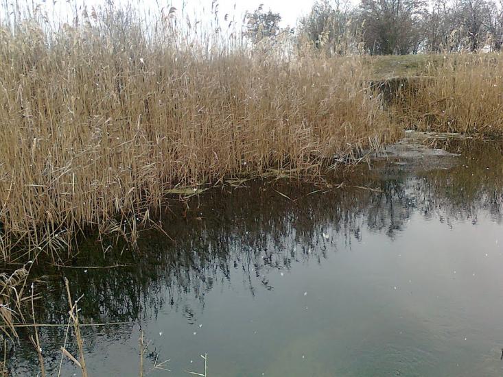 Кутузівка з panoramio.com - Кутузовка