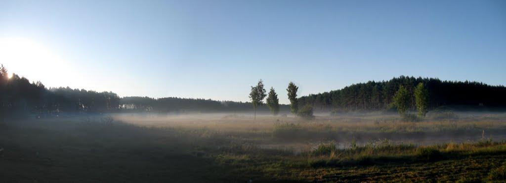 Пляшева з panoramio.com - Пляшева